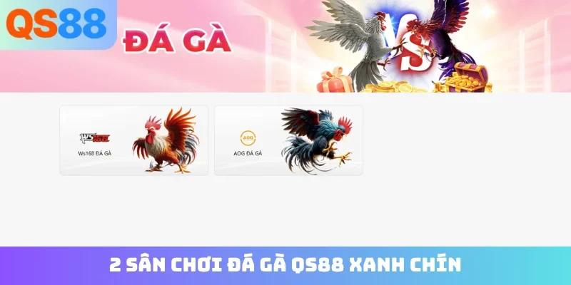 2 sân chơi đá gà QS88 xanh chín