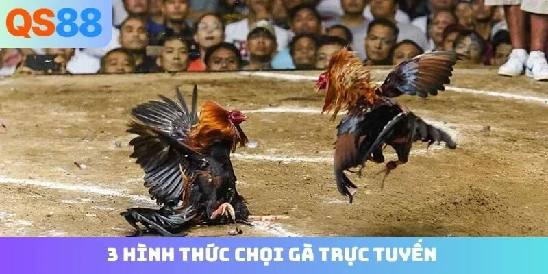 3 hình thức chọi gà trực tuyến