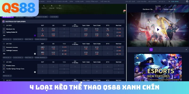 4 loại kèo thể thao QS88 xanh chín