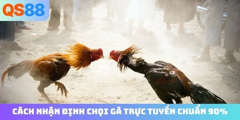 Cách nhận định chọi gà trực tuyến chuẩn 90%