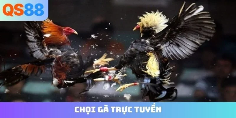 chọi gà trực tuyến