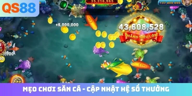 Mẹo chơi săn cá - Cập nhật hệ số thưởng