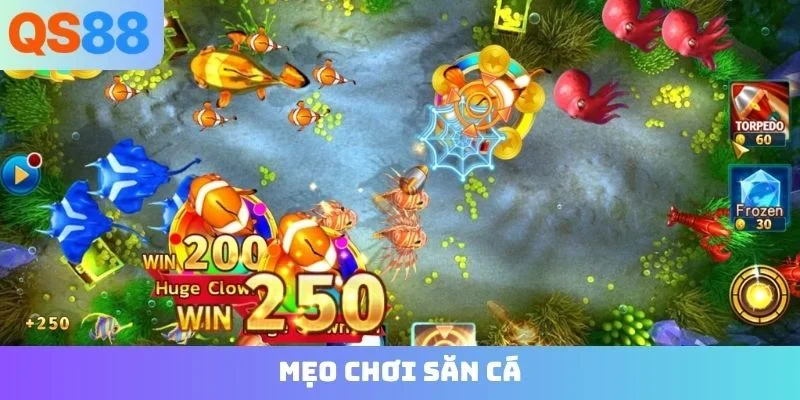 mẹo chơi săn cá