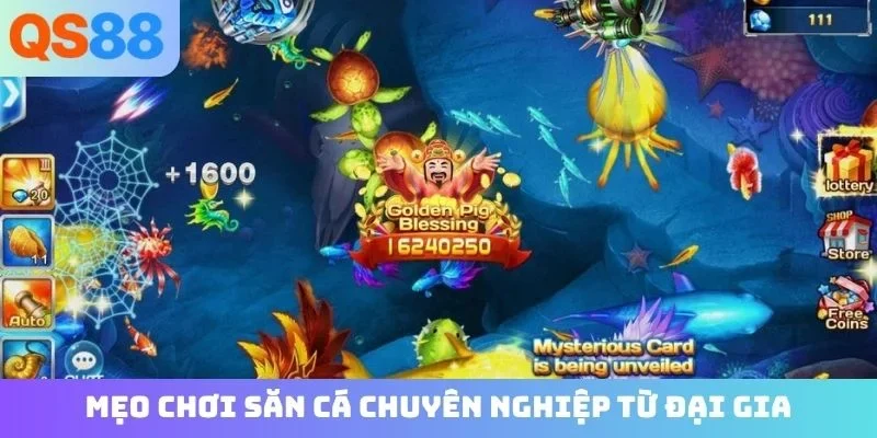 Mẹo chơi săn cá chuyên nghiệp từ đại gia