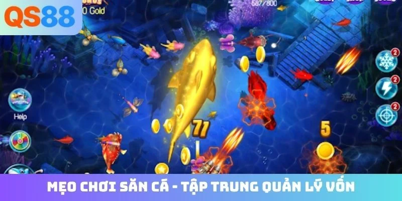 Mẹo chơi săn cá - Tập trung quản lý vốn